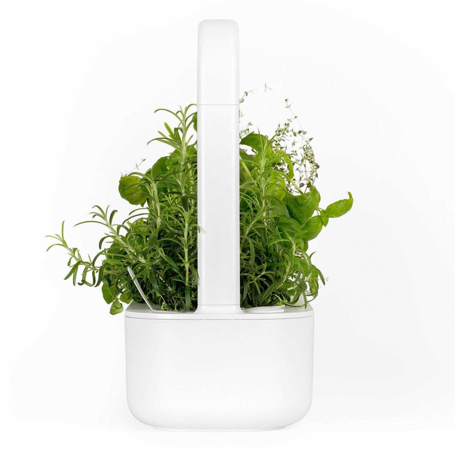 Click Grow Smart Garden 9