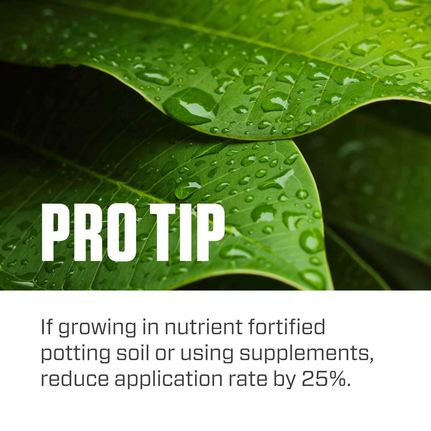 Botanicare Pure Blend Pro Grow