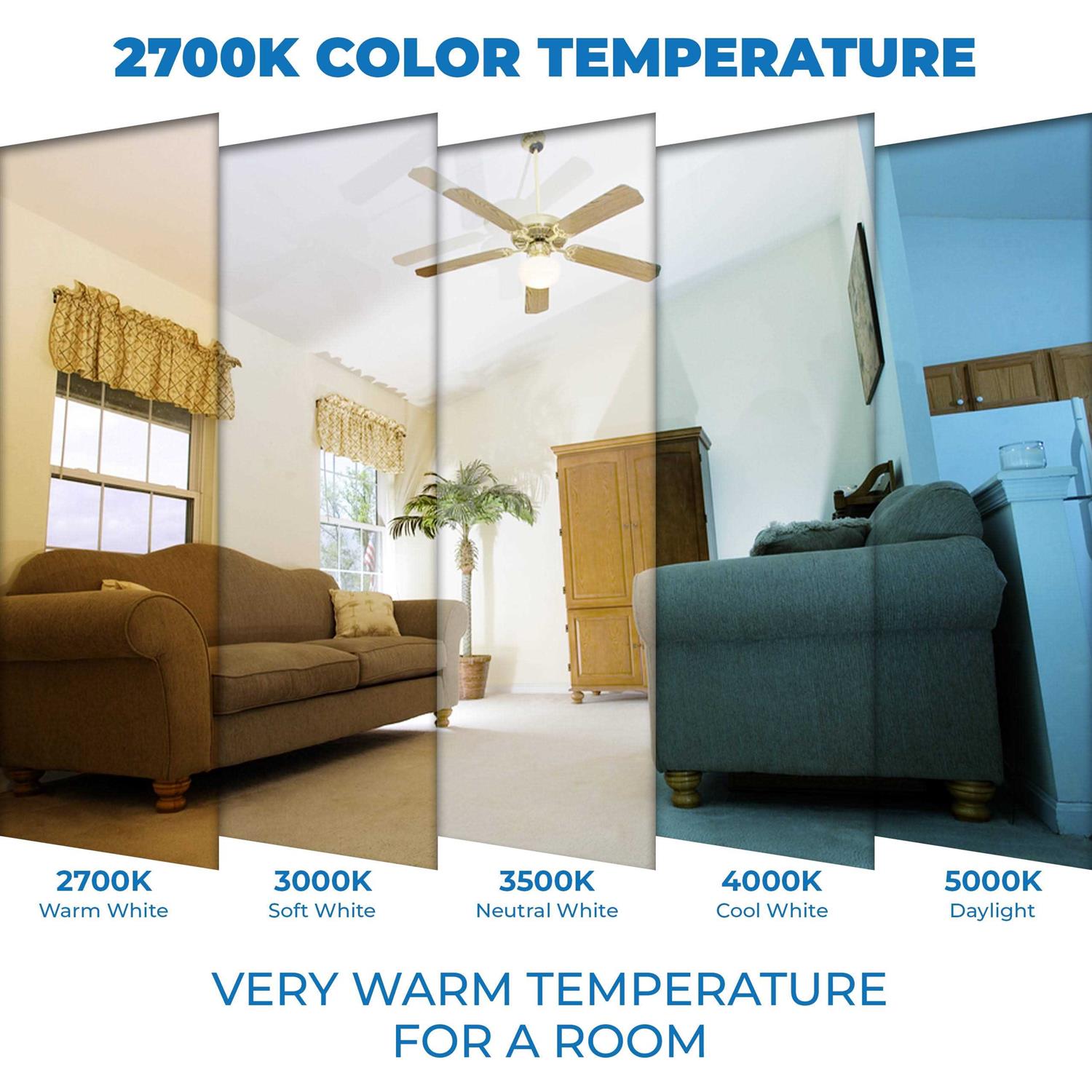 Westinghouse 0310800 100 Watt G40 Incandescent Light Bulb, Grey