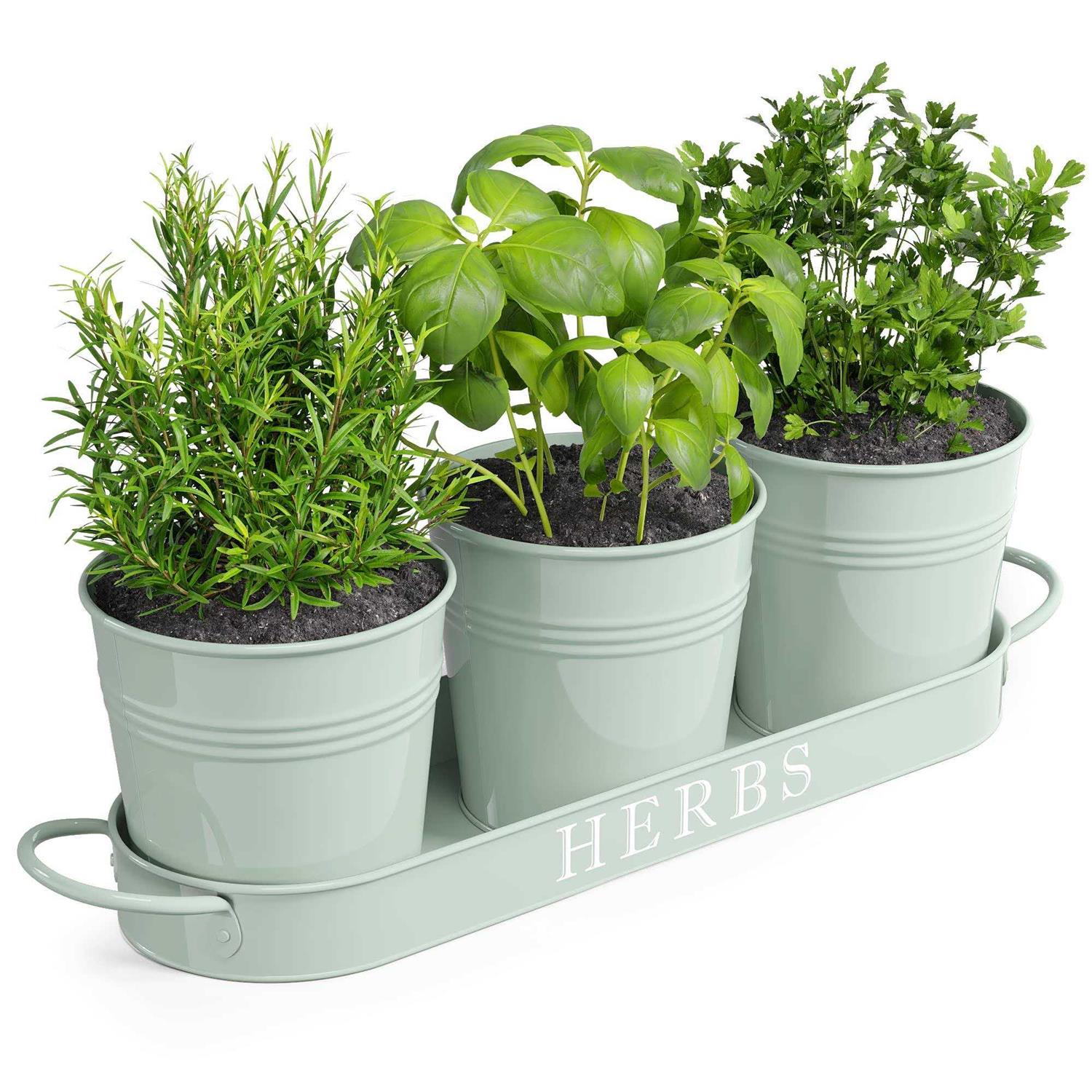 Barnyard Designs Herb Planter Set with Tray Indoor Garden or Outdoor