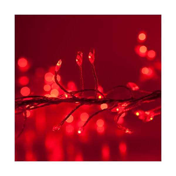 Wintergreen Lighting LED Cluster String Lights