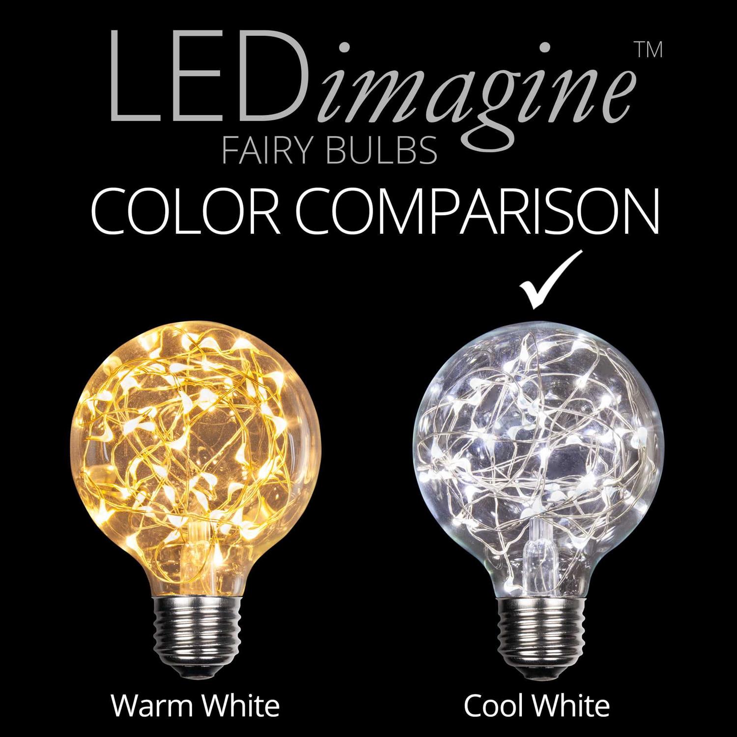 Wintergreen Lighting G80 120V LEDimagine TM Fairy Light Bulb