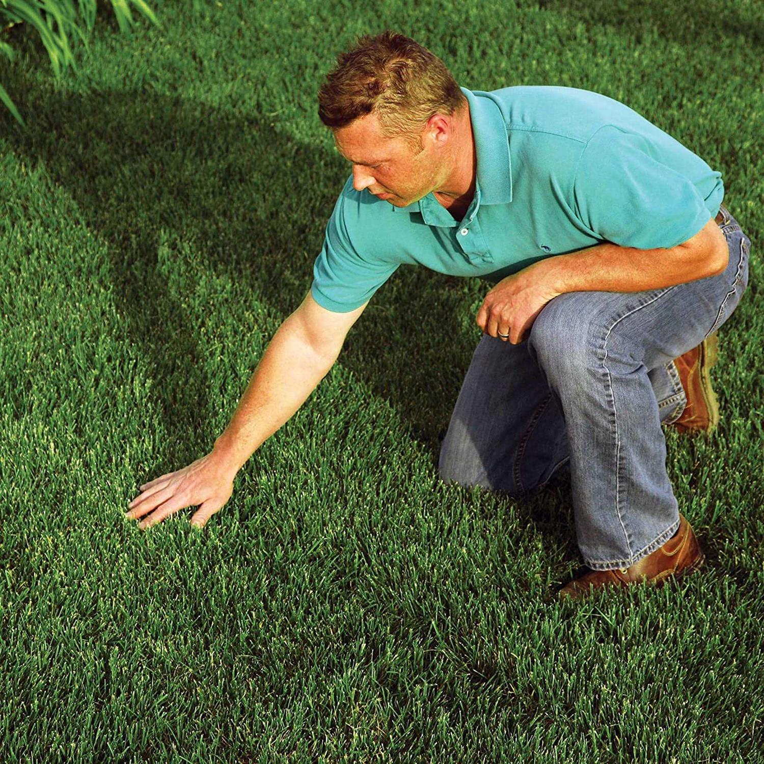 Rhino Seed EZ Erosion Control Straw Blanket