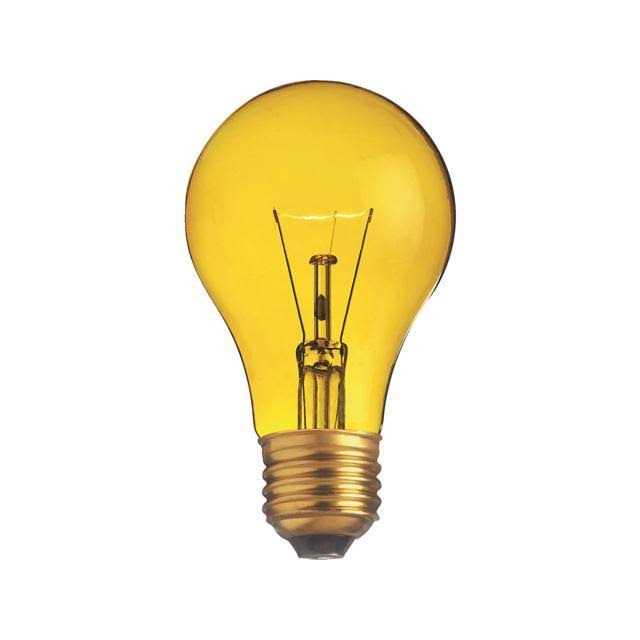 Westinghouse 25 Watt A19 Incandescent Light Bulb