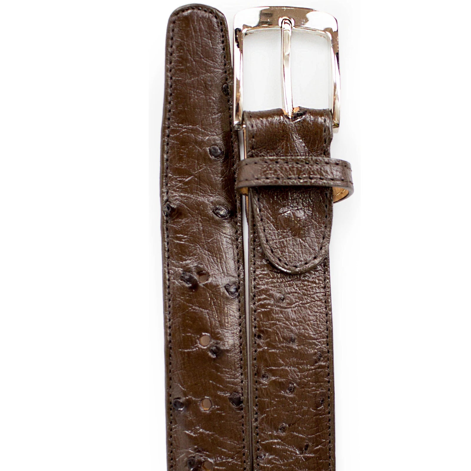Men’s Belvedere Genuine Ostrich Quill Dress Belt in Brown