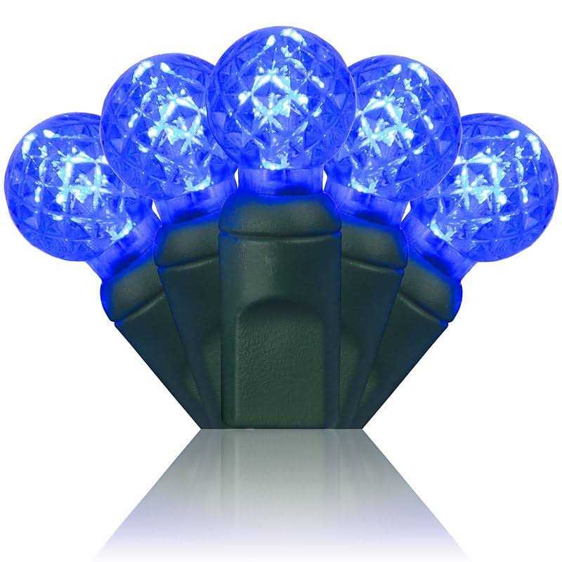 Wintergreen Lighting 70 Light String LED Lights