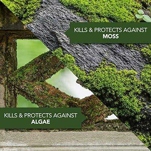 BioAdvanced Moss & Algae Killer 2-in-1