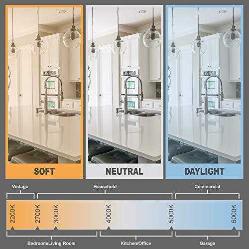 Amazon Basics BR30 LED Light Bulb 65W Equivalent