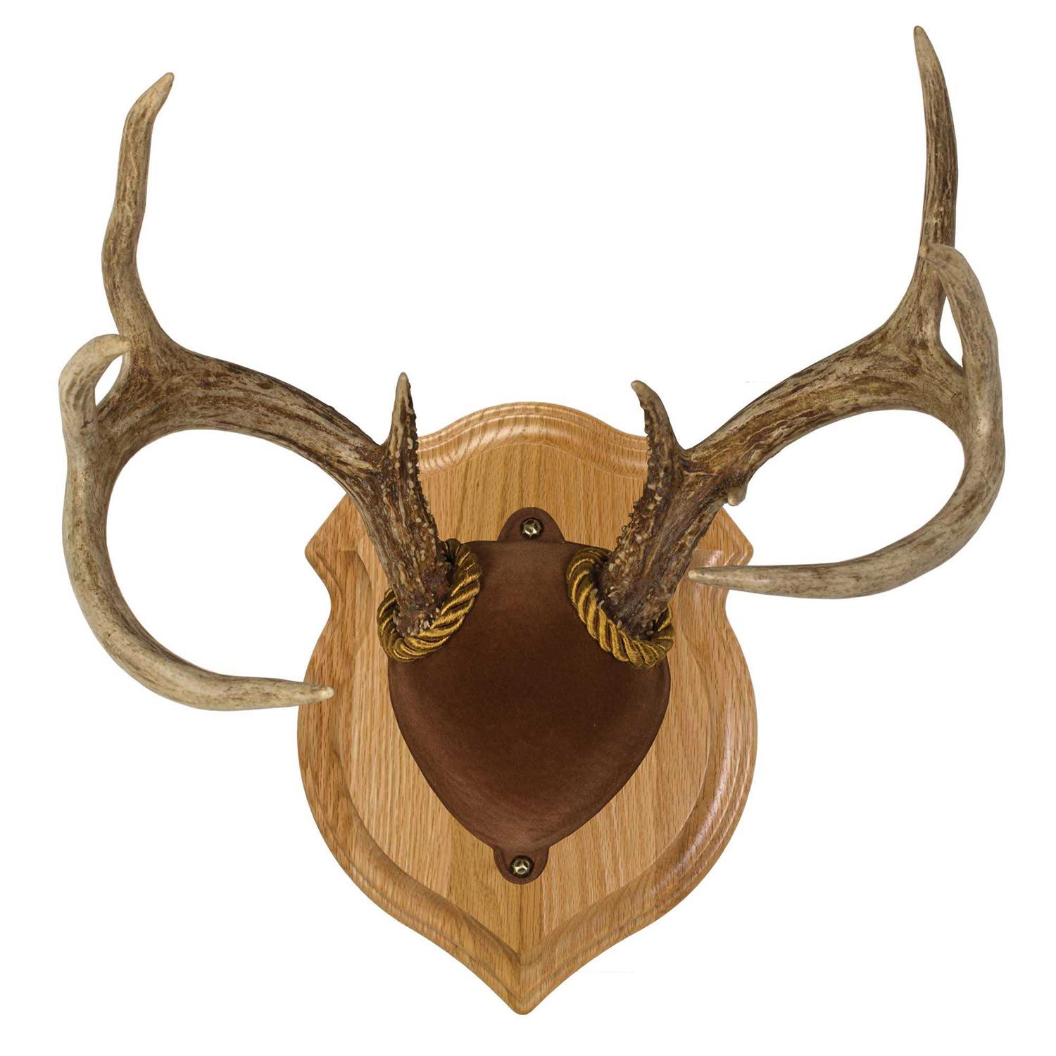 Walnut Hollow Deluxe Antler Display Kit