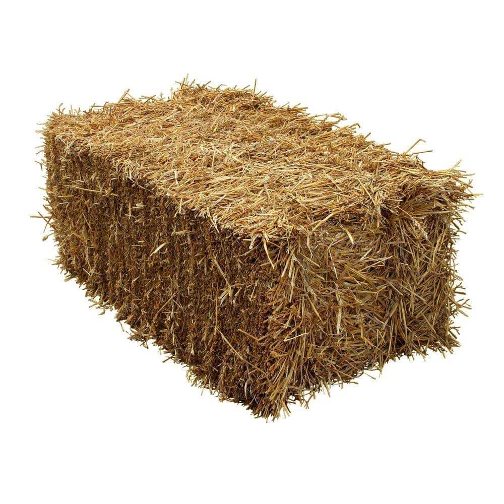 BELL NURSERY Straw Bale Full