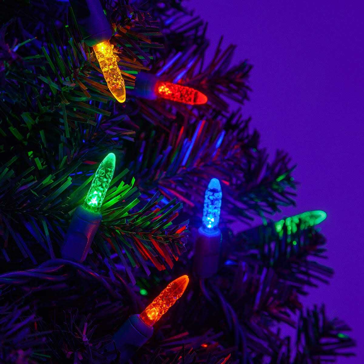 Wintergreen Lighting LED Christmas Tree Lights T5 Mini Lights