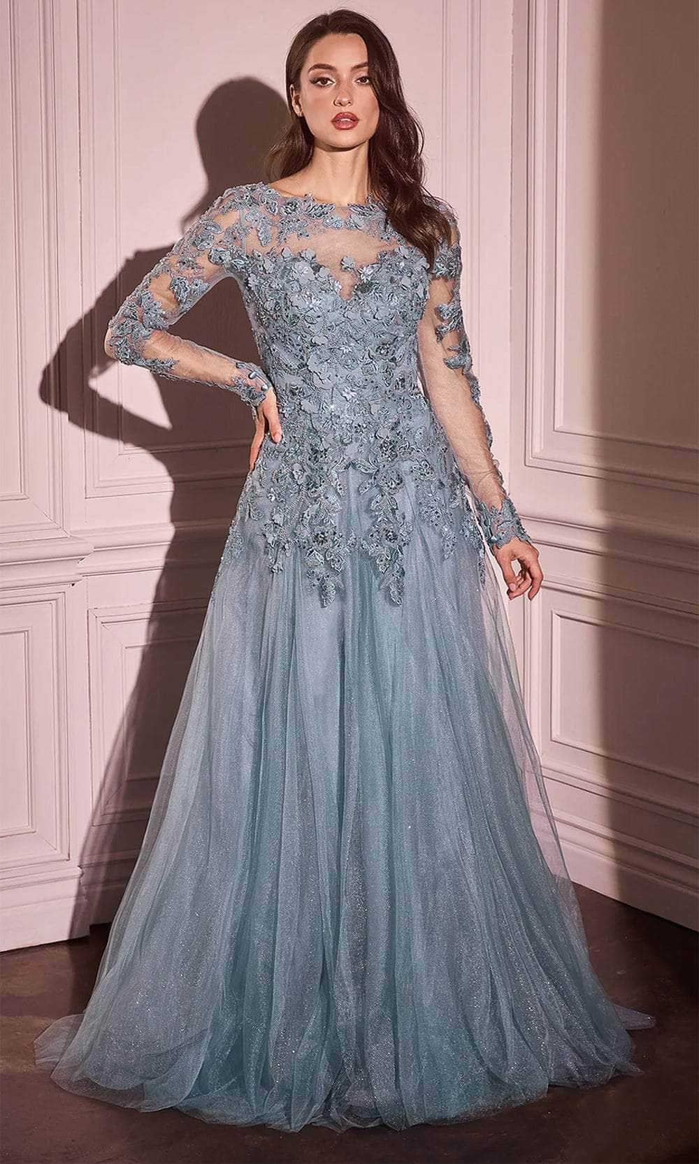 Illusion Long Sleeve Evening Gown
