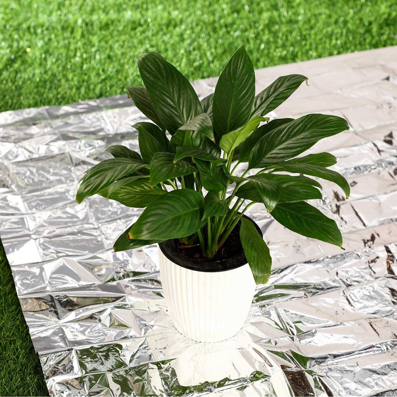 Maitys 4 Pcs Emergency Blankets High Silver Reflective Foil Sheet Heat Foil Protection Rescue Blankets Camping Blanket Hiking Space Blankets and