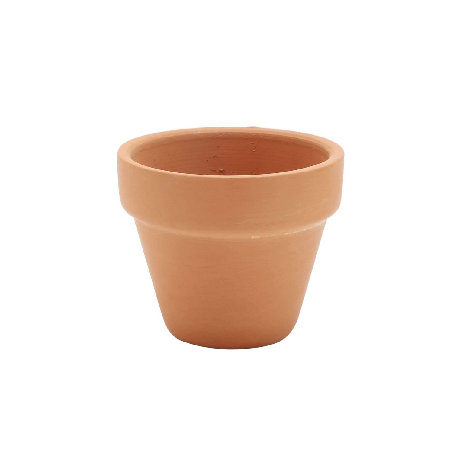 Clay Pot by Ashland