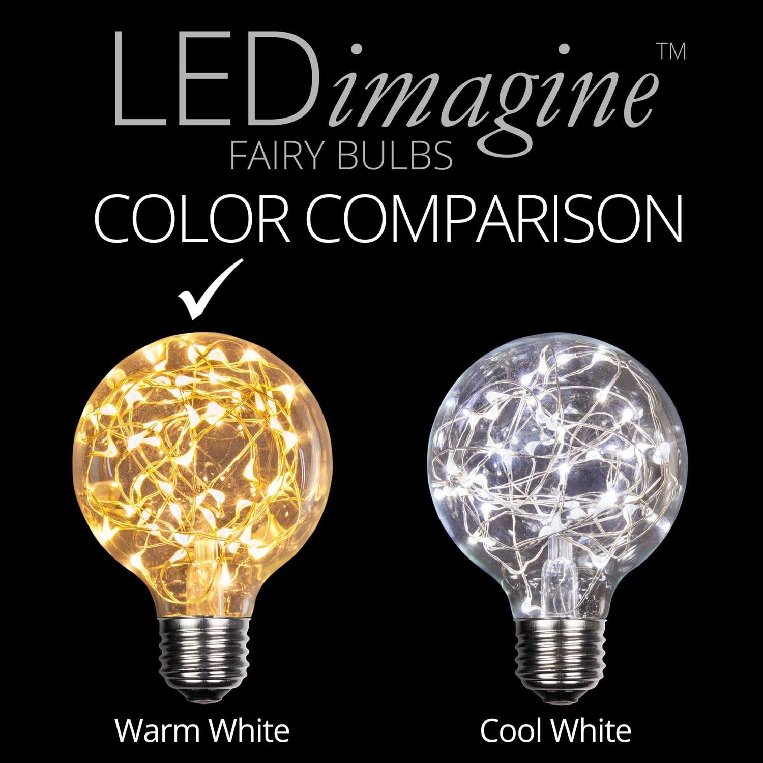 Wintergreen Lighting G80 120V LEDimagine TM Fairy Light Bulb