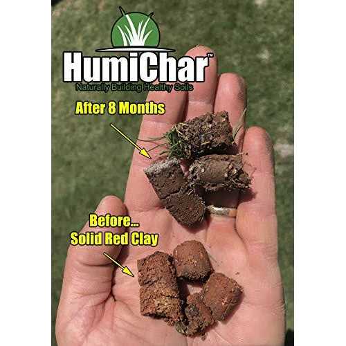 The Andersons HumiChar Organic Soil Amendment with Humic Acid and Biochar