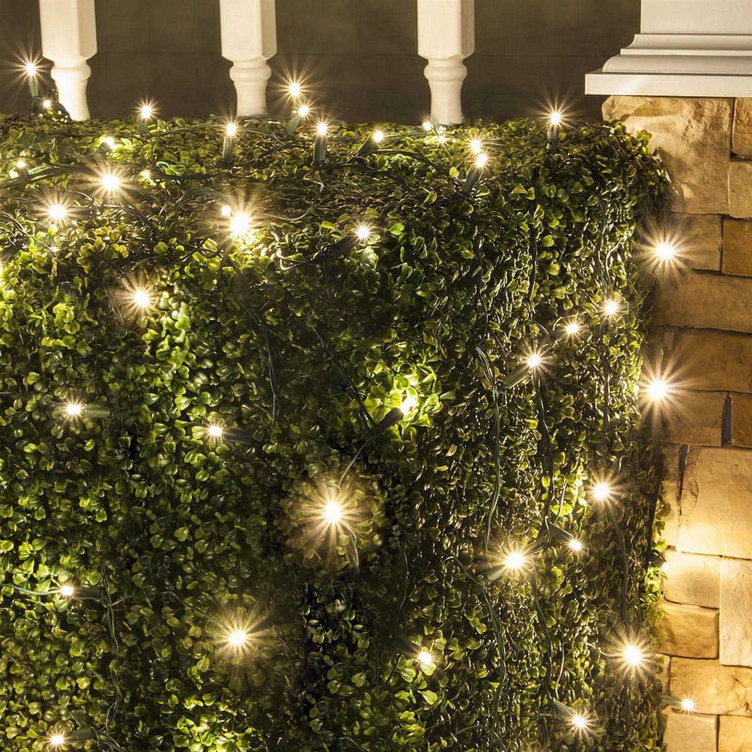Wintergreen Lighting LED Net Lights
