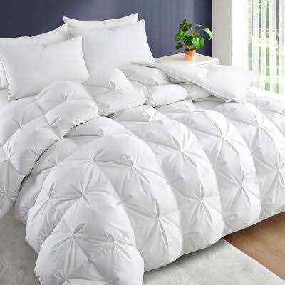 Alwyn Home 800 Fill Power Winter Goose Down Comforter