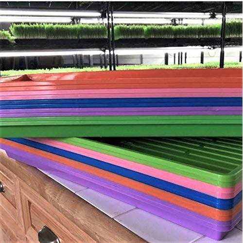 Bootstrap Farmer Trays 1020 Holes