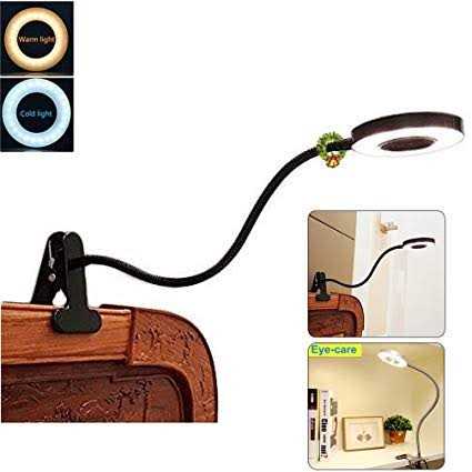 W-LITE DINGLILIGHTING DLLT LED USB Reading Light Clip Laptop Lamp for Book,Piano,Bed Headboard,Desk
