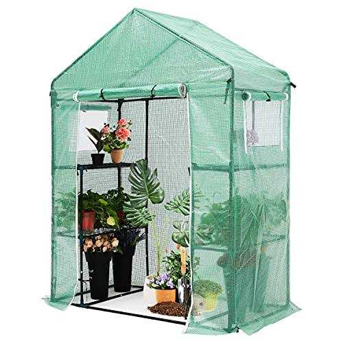 Abccanopy Walk-in Greenhouse Indoor Outdoor with 2 Tier 4 Shelves Portable Gardening Greenhouse