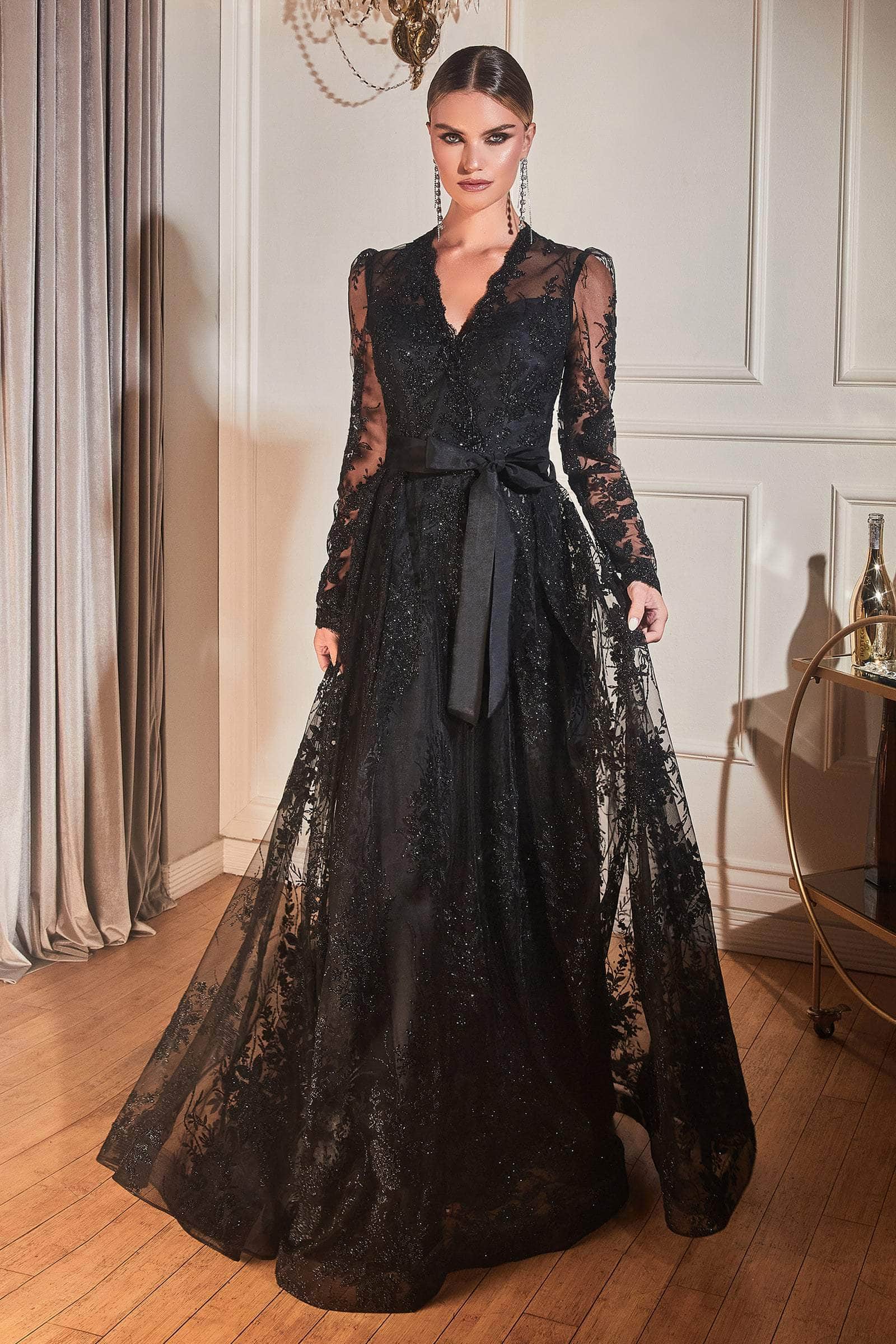 Embellished Long Sleeve V-neck Gown