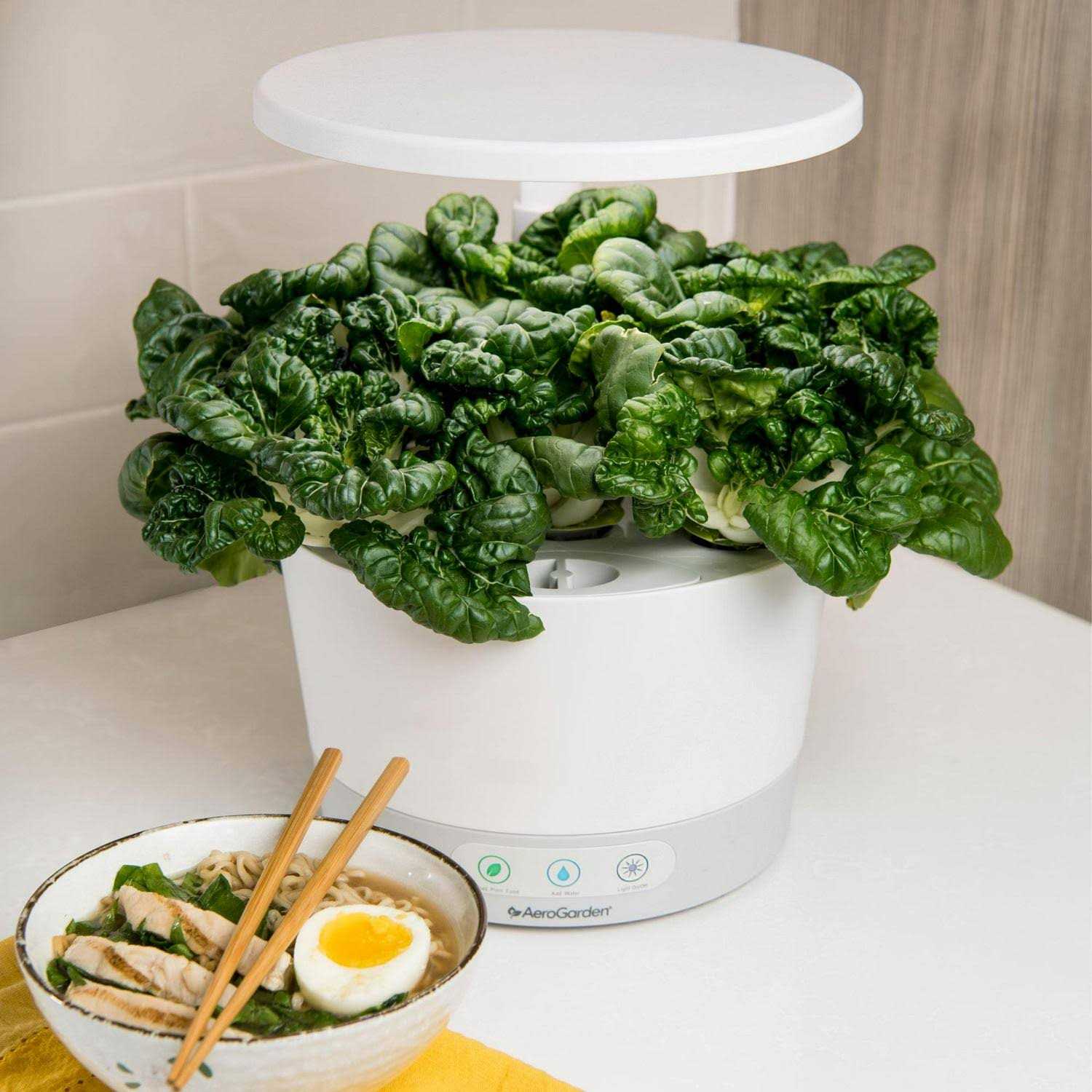 AeroGarden Harvest 360