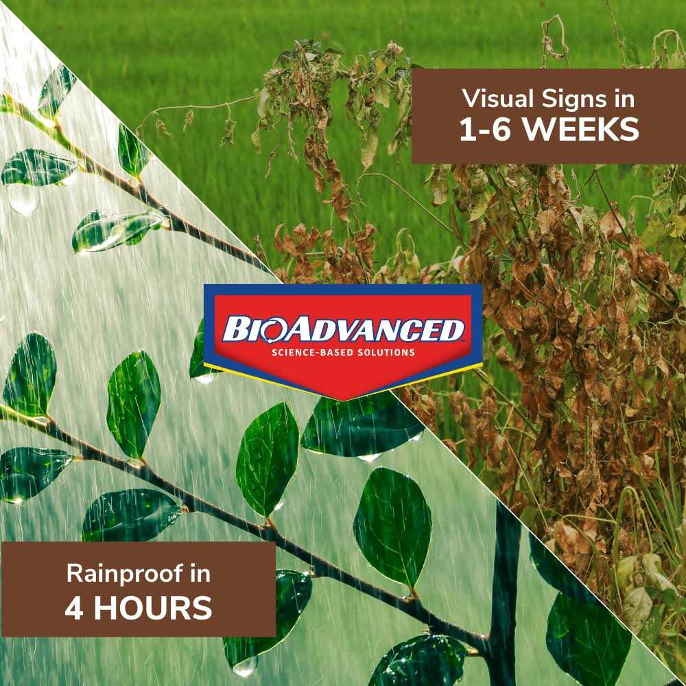 BioAdvanced 1 gal Ready-to-Use Brush Killer Plus