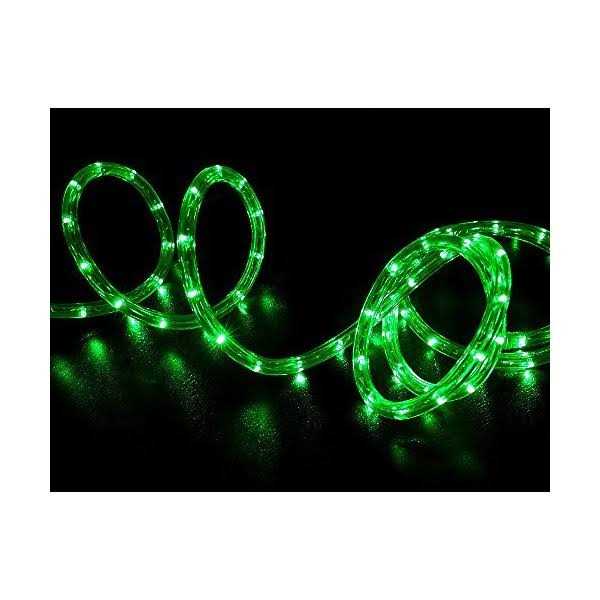 Wyzworks LED Rope Lights