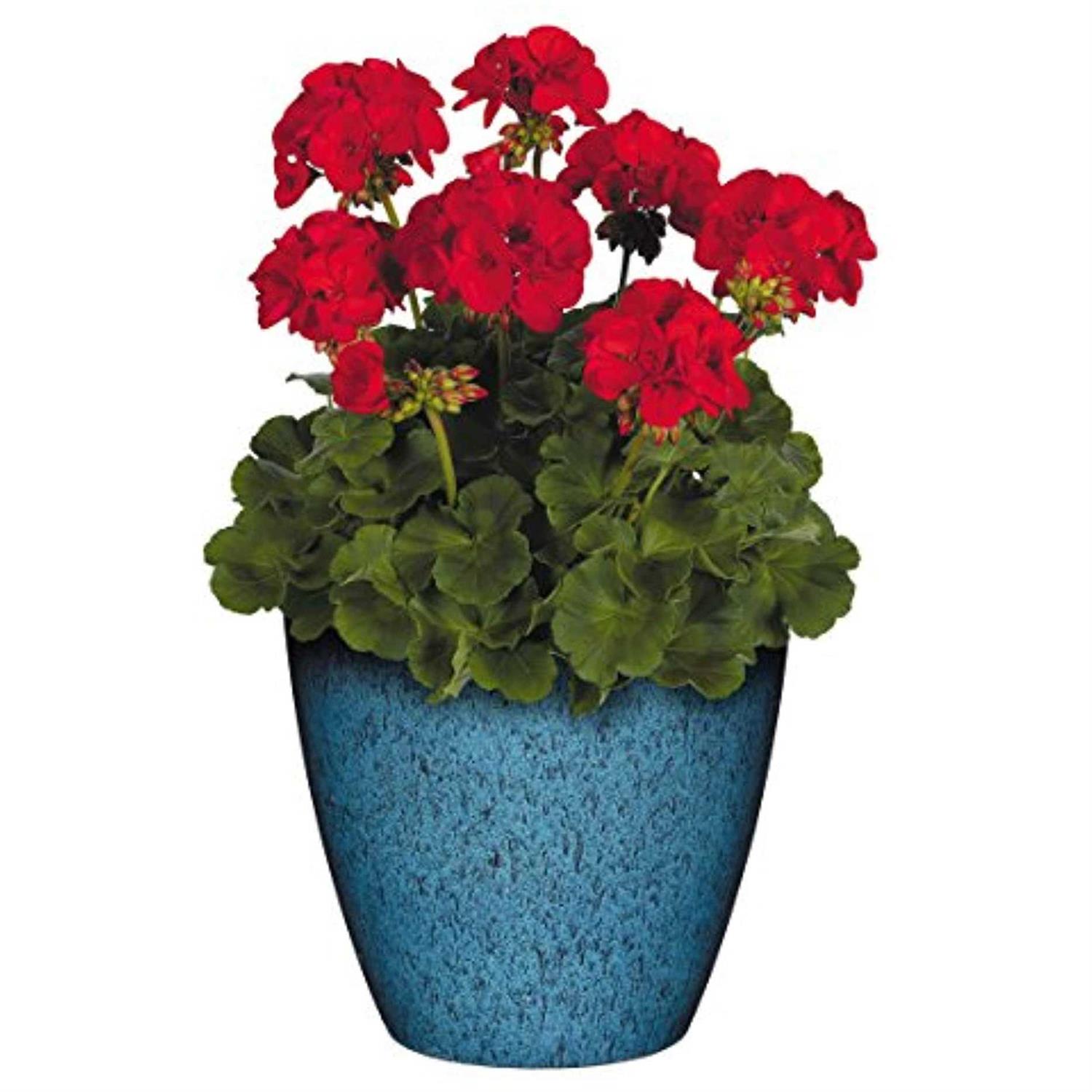 Classic Home and Garden Premiere Collection Planter Vogue 8
