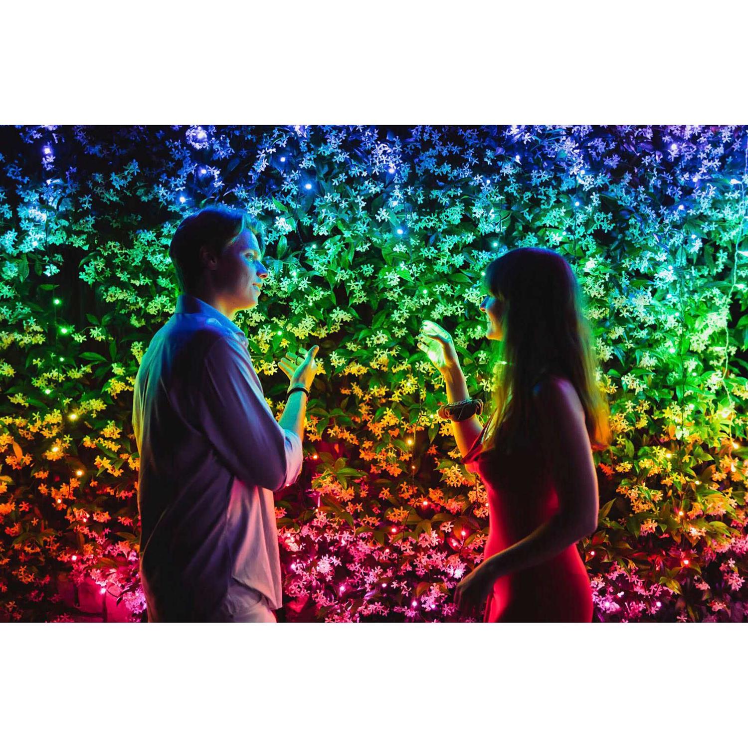 Twinkly Smart Light 400 RGB LED Light String and 60 Dots