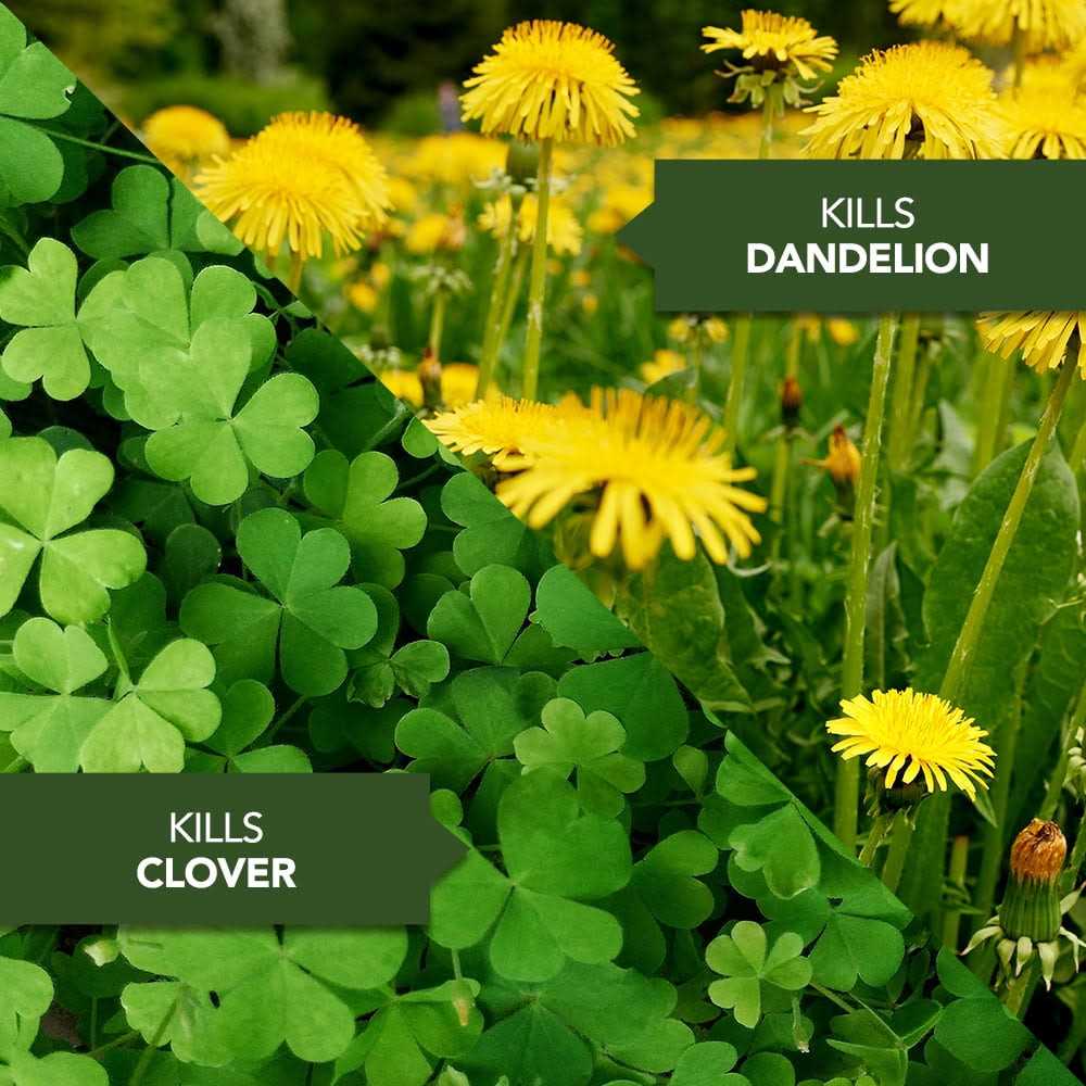 BioAdvanced 3 In 1 Weed and Feed For Southern Lawns