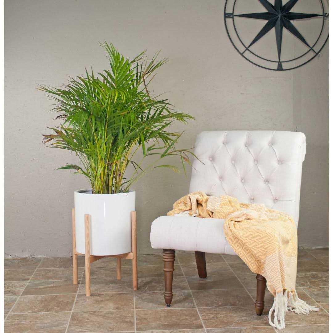 Birch Lane™ Bunkerville Ceramic Pot Planter