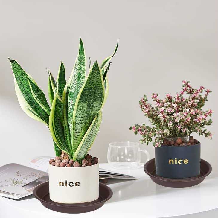 Angde 6 Pack Plant Saucer Plant Round