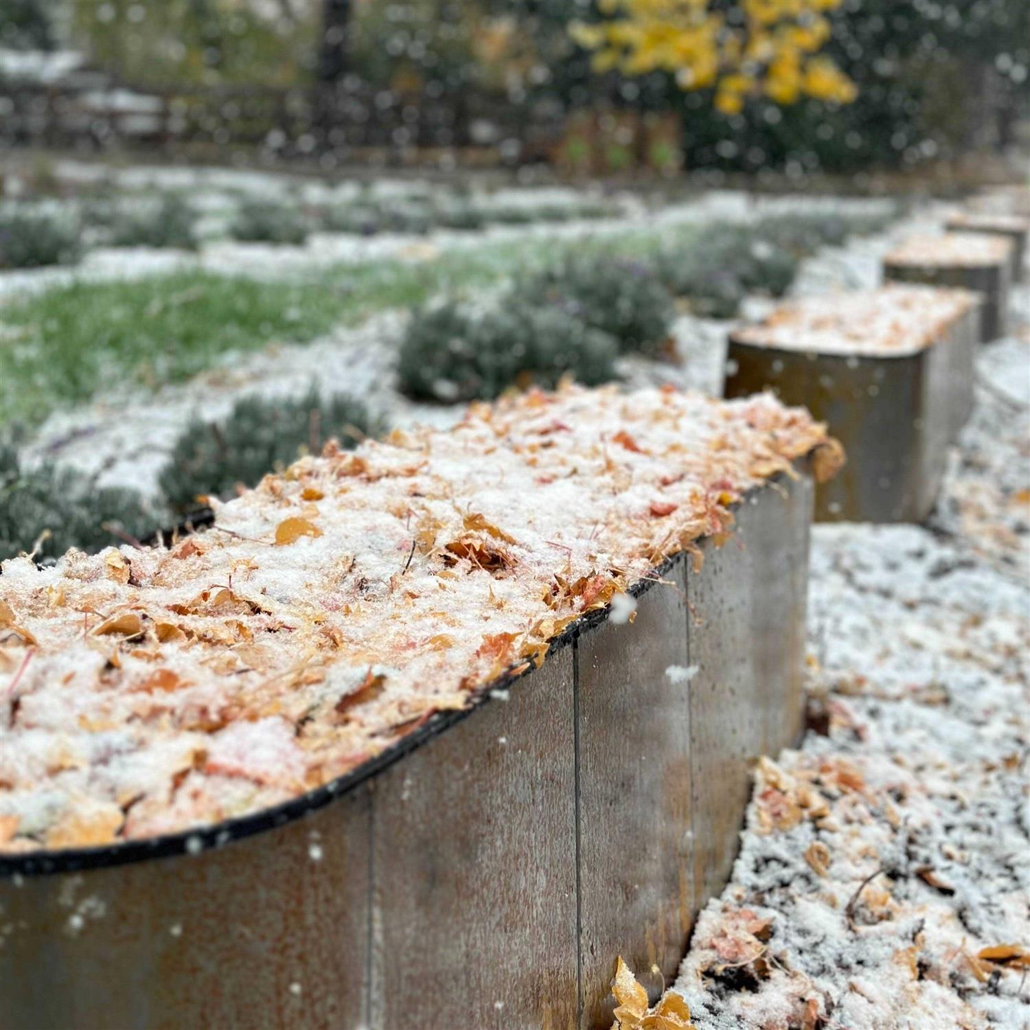 Birdies 24 Tall Corten Steel Modular Raised Garden Bed