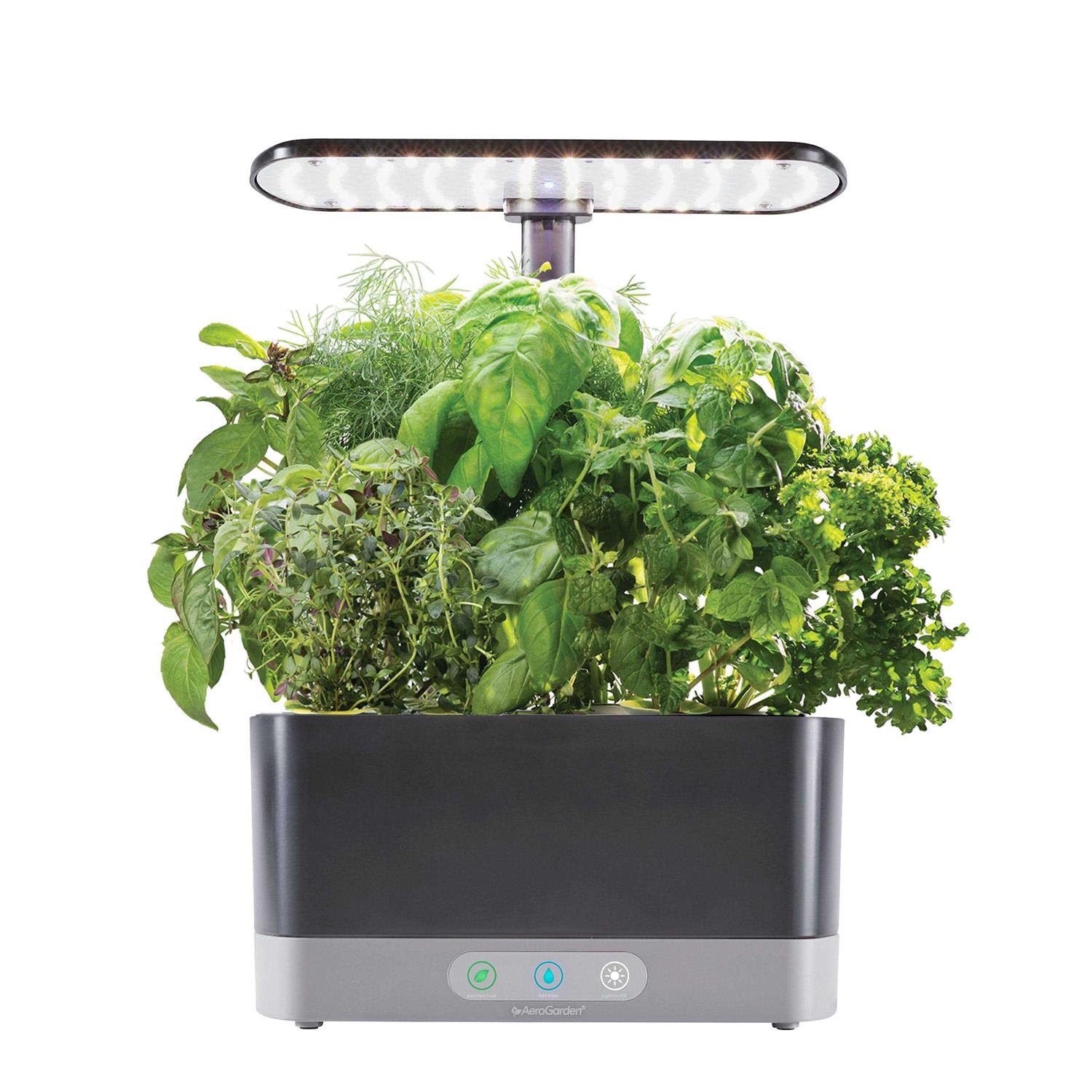 AeroGarden Harvest XL with Gourmet Herbs Seed Pod Kit