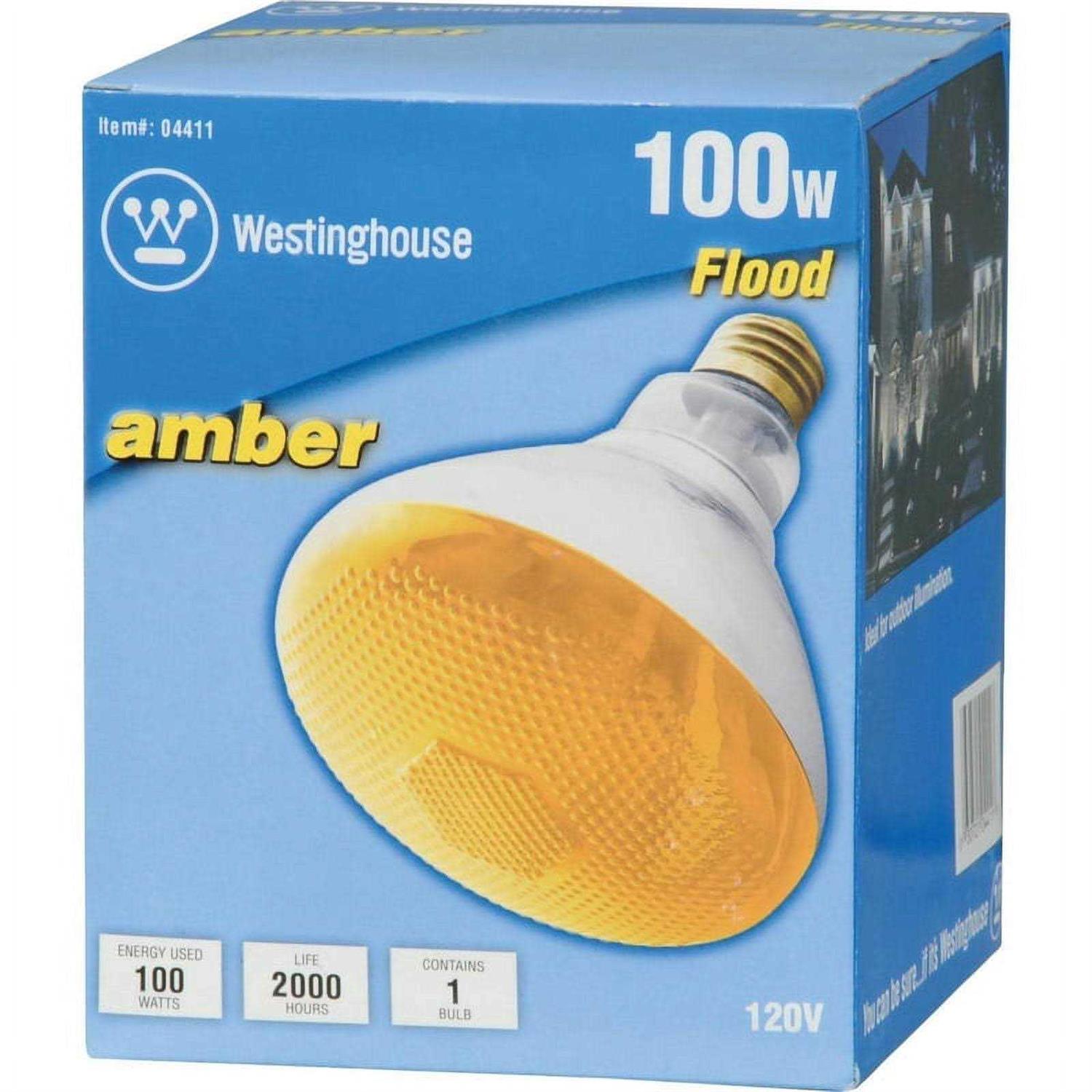 Westinghouse Light Bulb 0441100