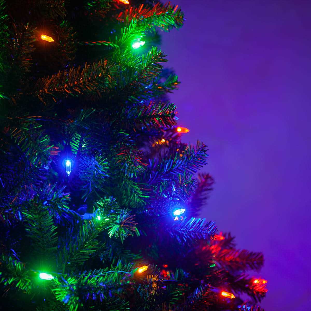 Wintergreen Lighting LED Christmas Tree Lights T5 Mini Lights