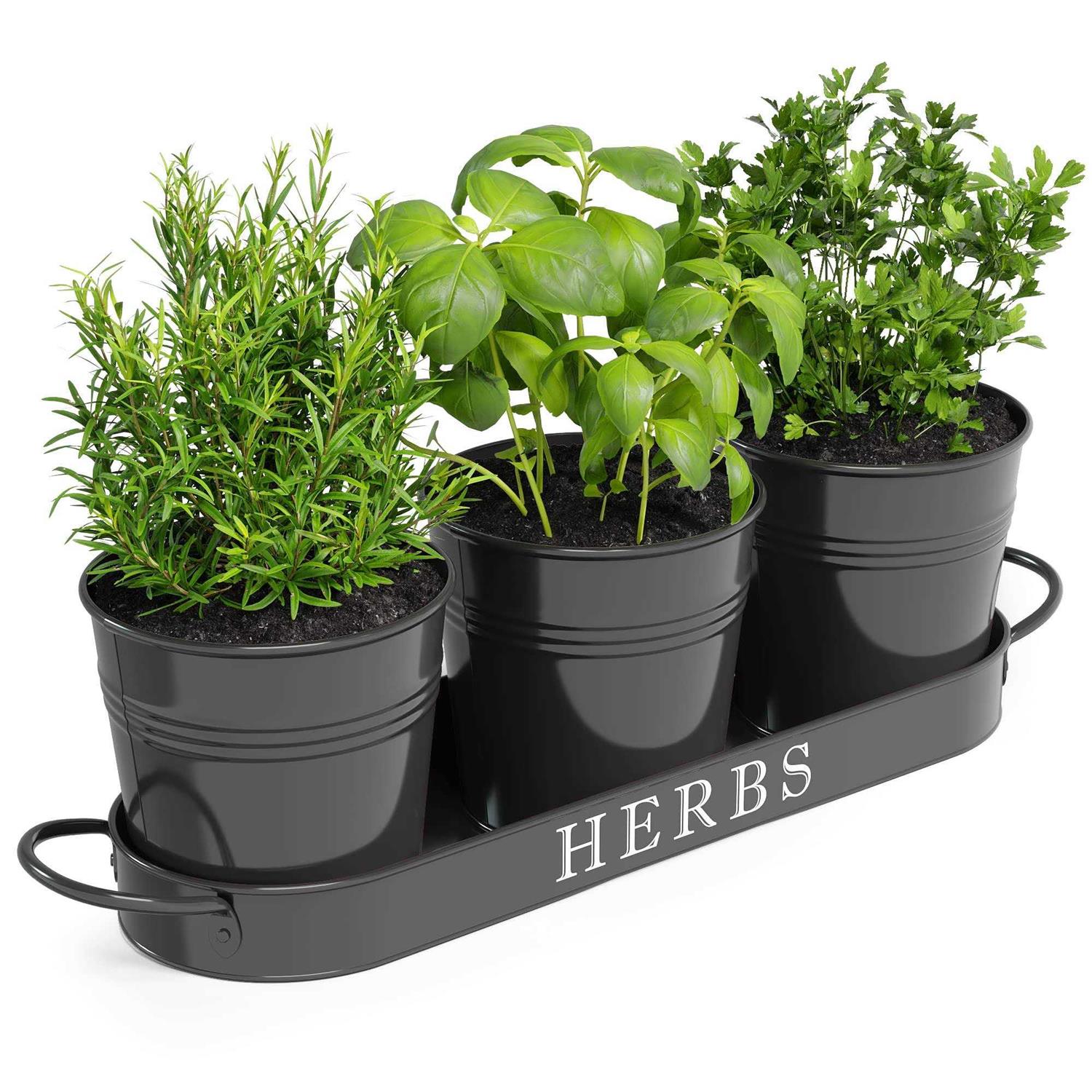 Barnyard Designs Herb Planter Set with Tray Indoor Garden or Outdoor