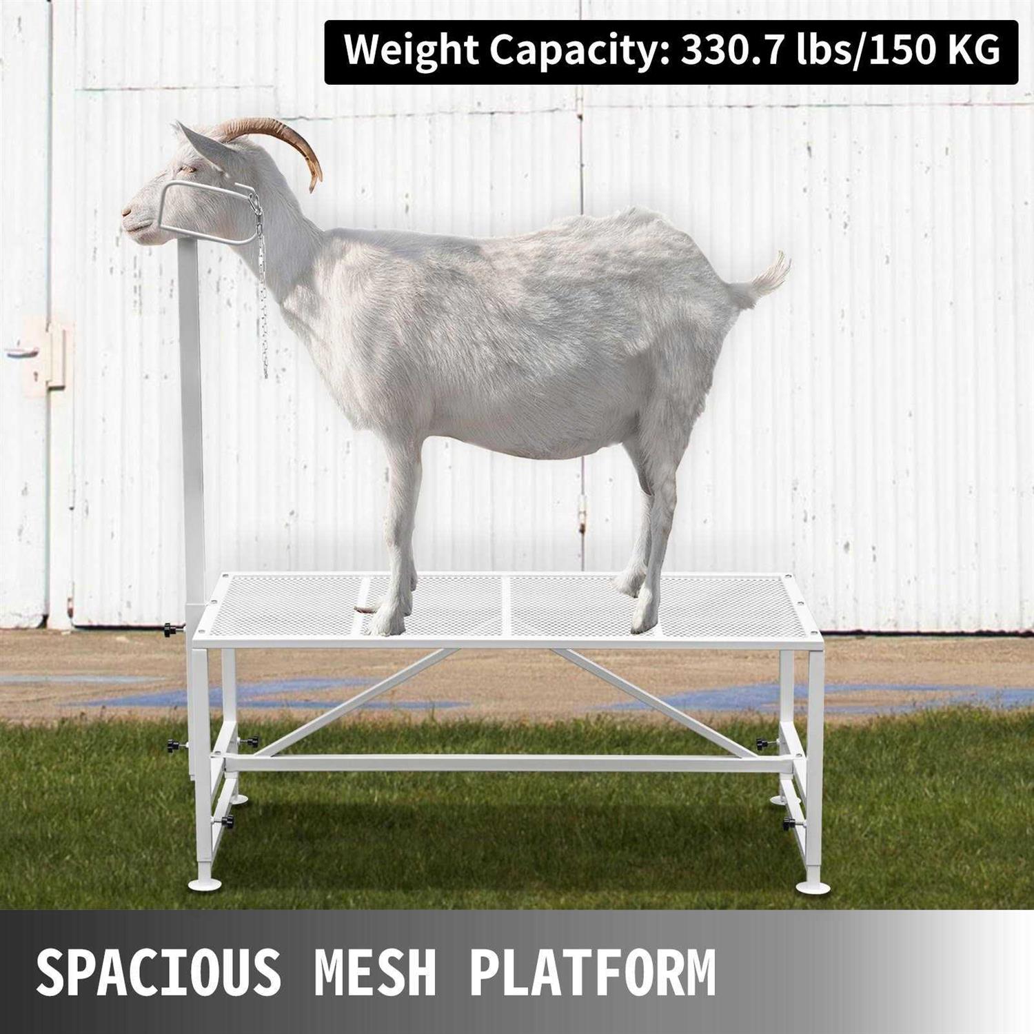 VEVOR Livestock Stand Trimming Stand 51×23 inches Livestock Trimming Stands for Goats YYZJJSCDLZ