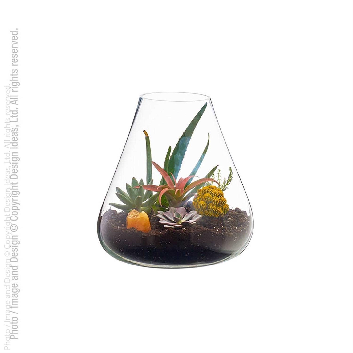 texxture Boboli Glass Terrarium