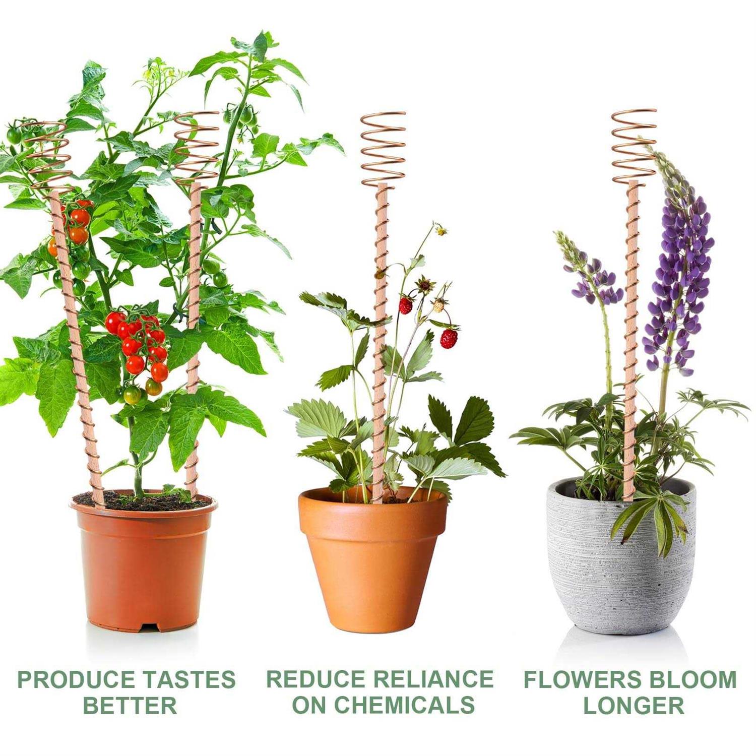 8 Pack 13.5 Electroculture Plant Stakes Long Copper Garden Stakes