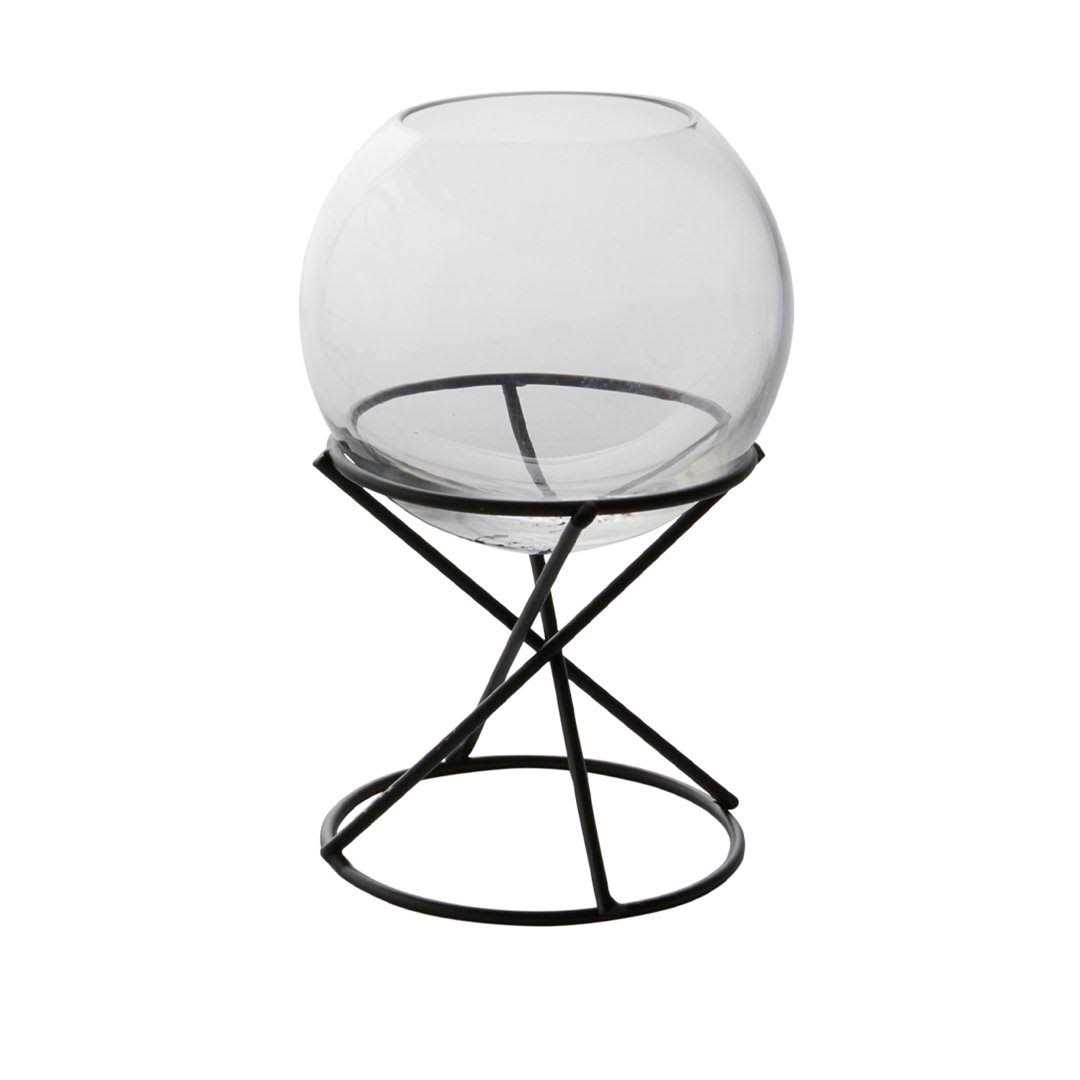 Boolia Terrarium Ebern Designs