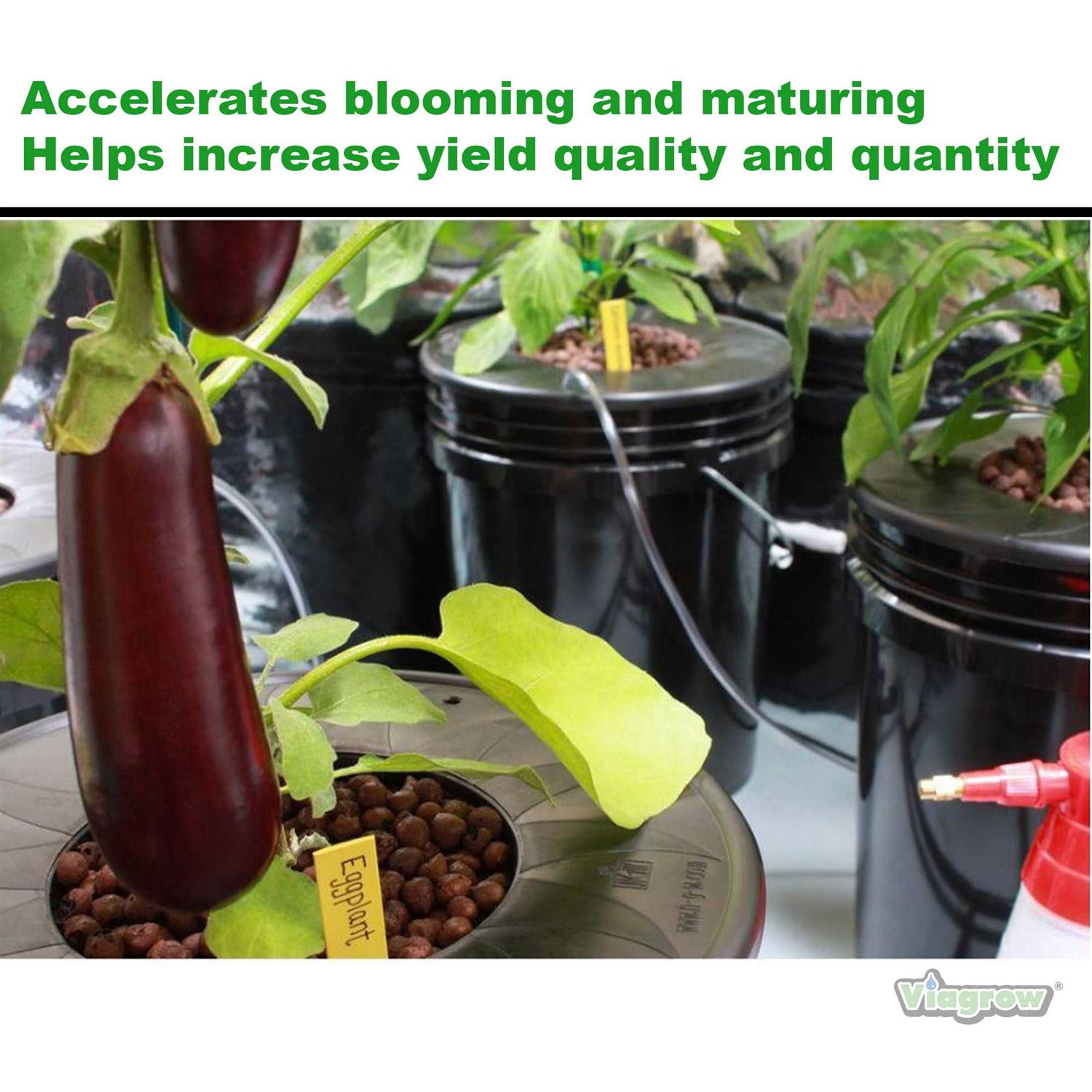 Viagrow Viastone Expanded Clay Pebbles