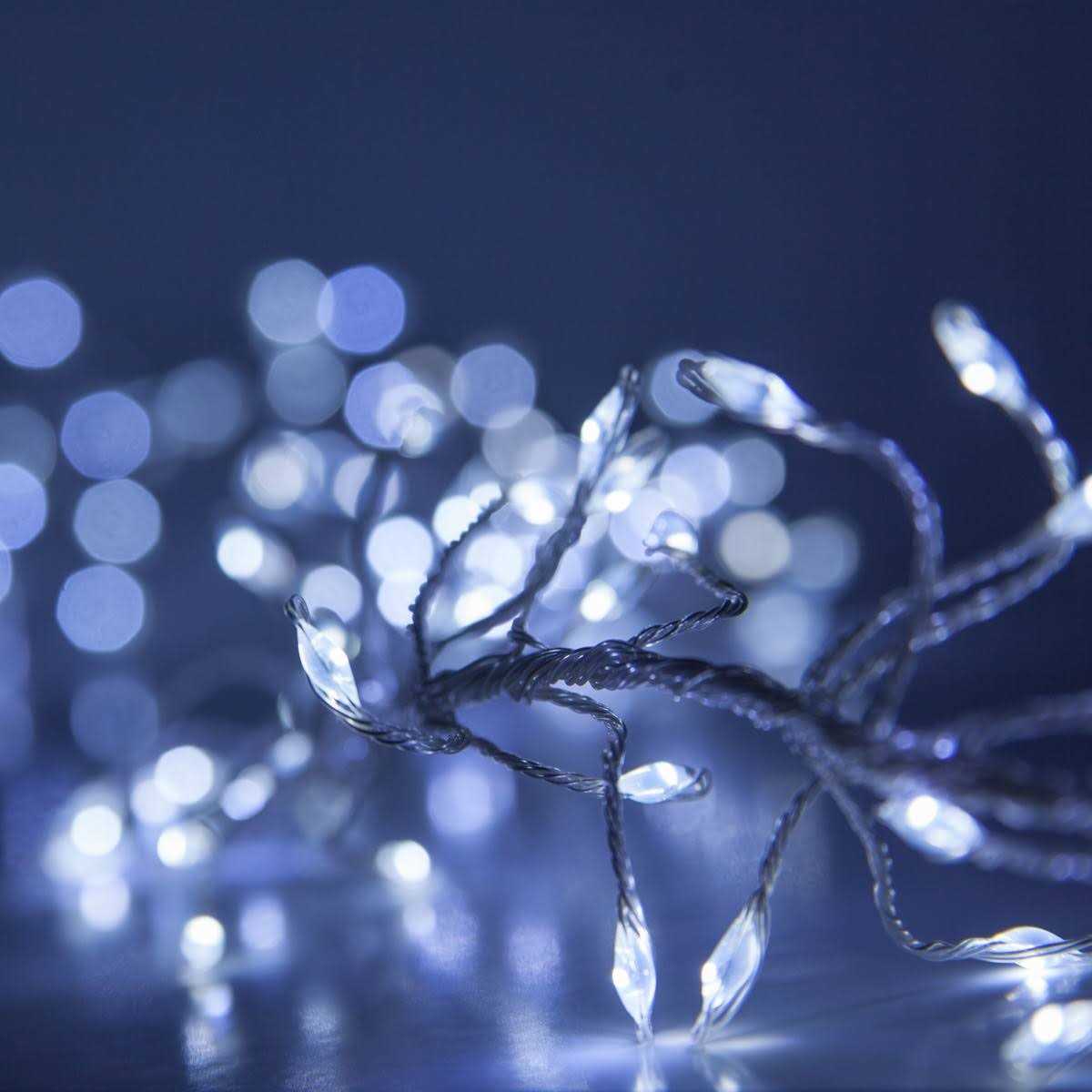 Wintergreen Lighting LED Cluster String Lights