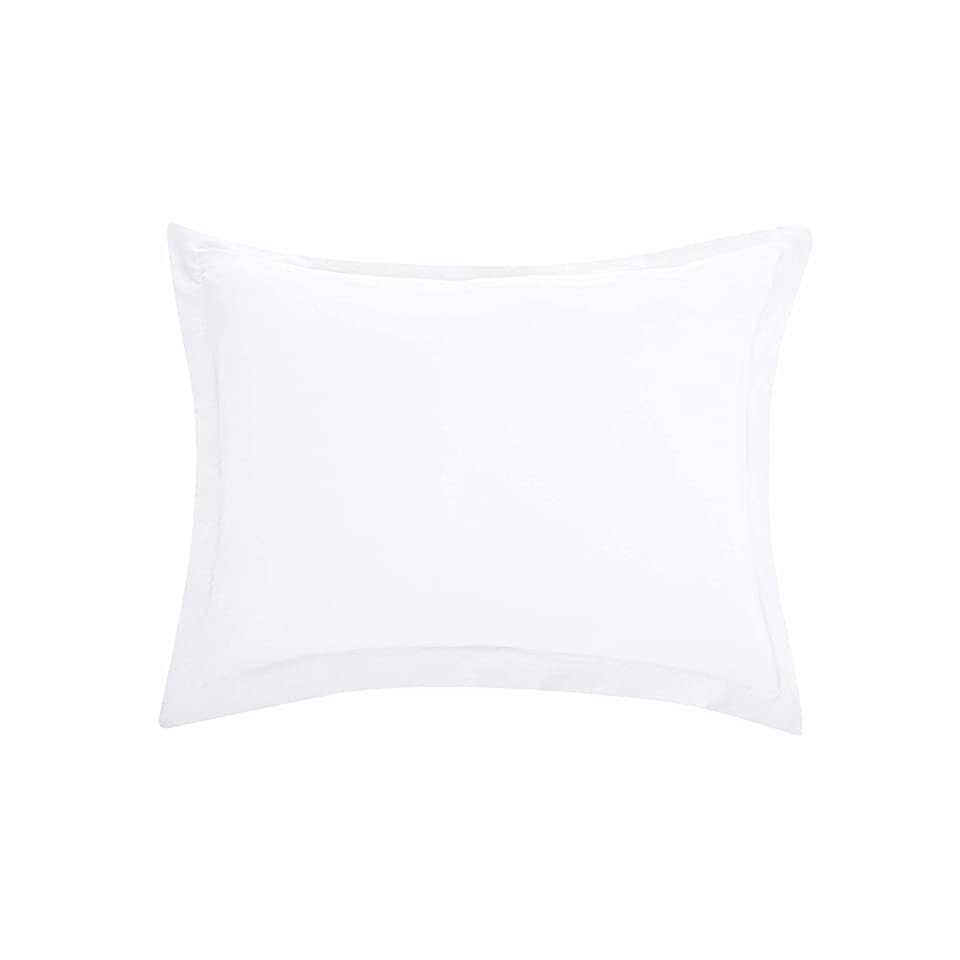 Amazon Basics Lightweight Microfiber Duvet Cover Set with Snap Buttons