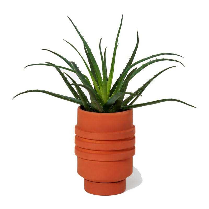 Areaware Strata Plant Vessel