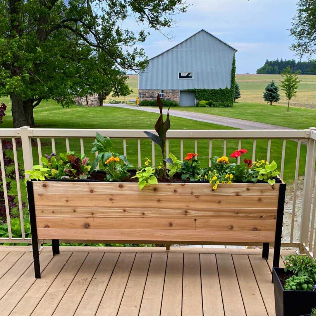 Cedar Planters Cedar 18 x Raised Garden Bed