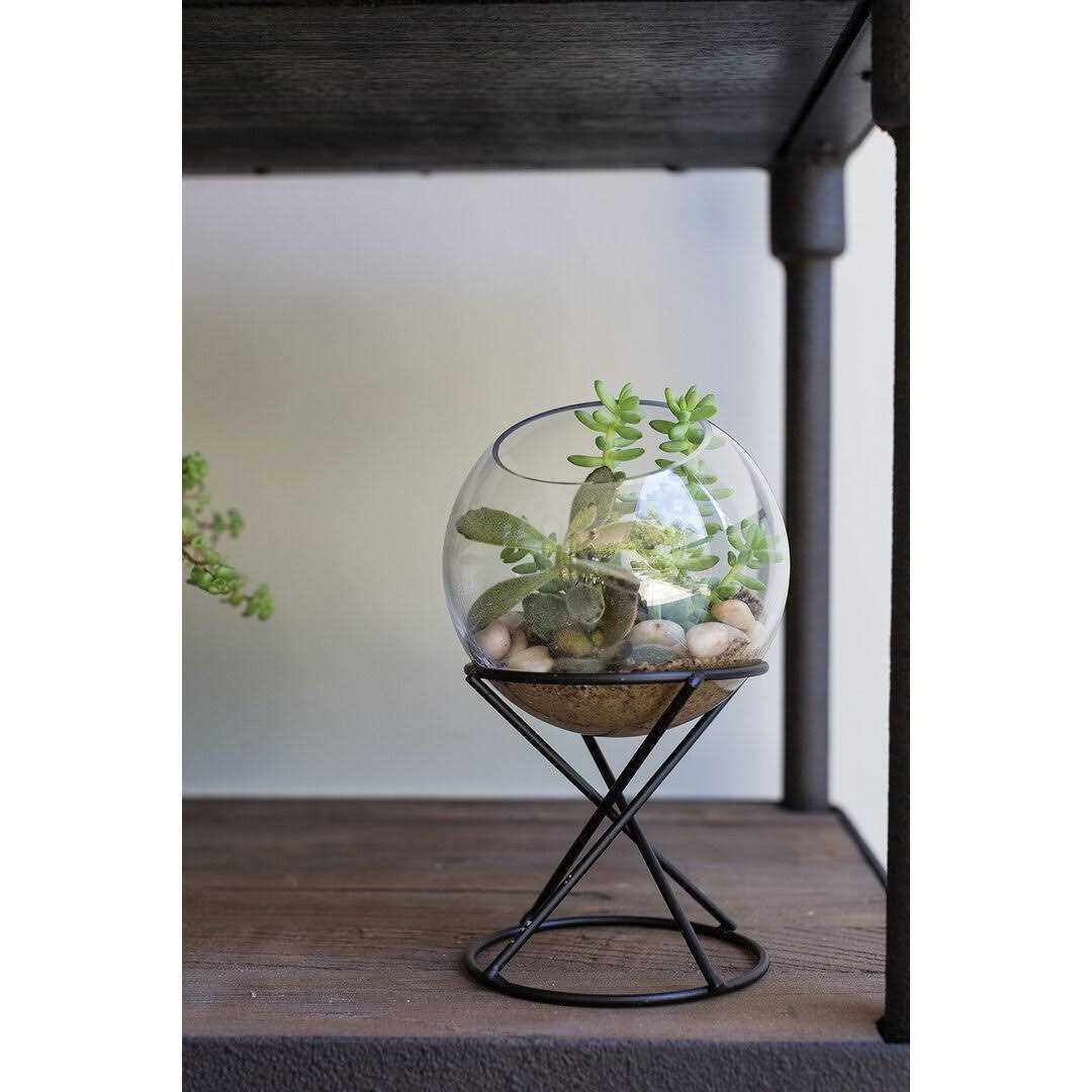Boolia Terrarium Ebern Designs