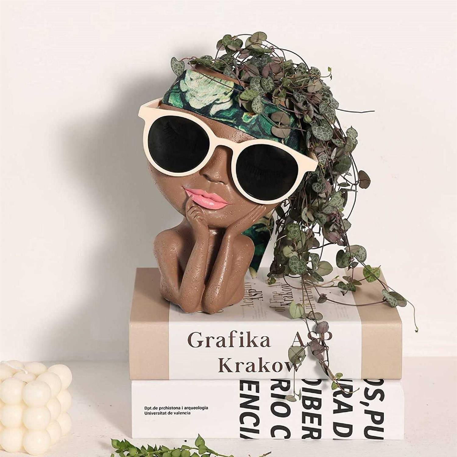 Aimebby Face Flower Pot Head Planter Pot Succulent Planter Cute Resin Cactus Planter with Drainage Hole Closed